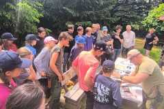 IMG-20260531-WA0044