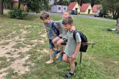 IMG-20260706-WA0035