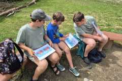 IMG-20260706-WA0043