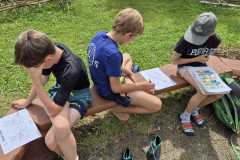 IMG-20260706-WA0045