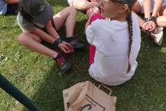 IMG-20260707-WA0037