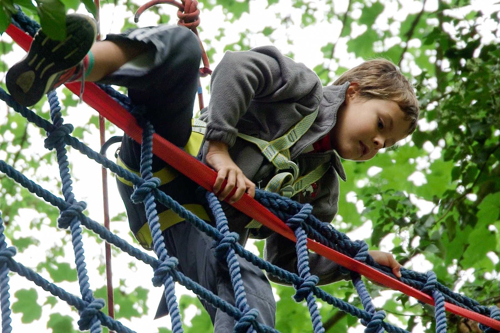 Roztocký Drsoň Junior 2013